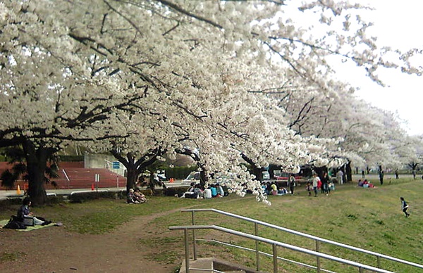 b0279527_215579.jpg
