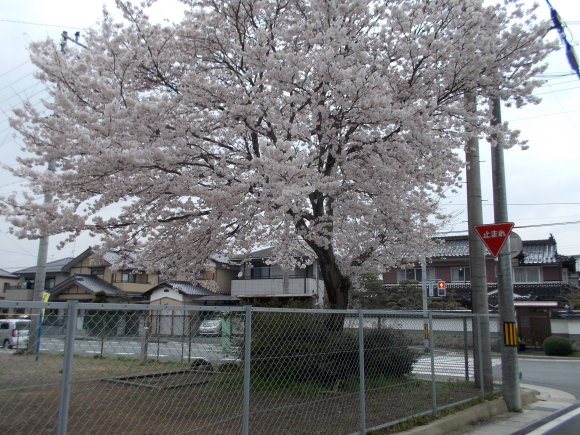 f0111128_18392302.jpg