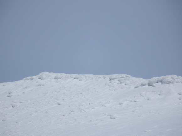 f0118332_0155879.jpg