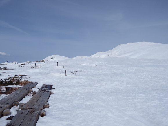 f0118332_024311.jpg