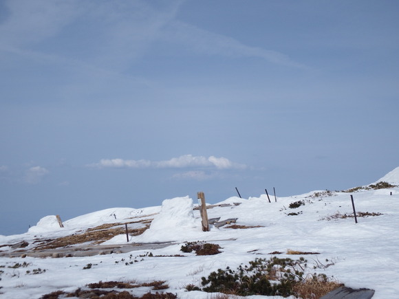 f0118332_0272422.jpg