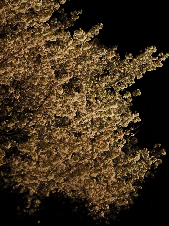 b0201233_22471735.jpg