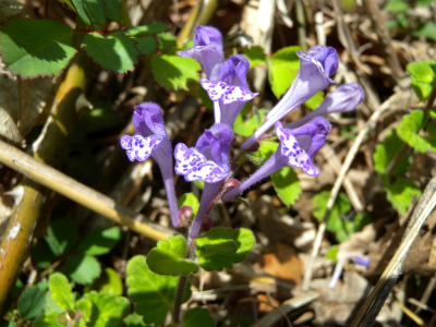 e0272335_20104053.jpg