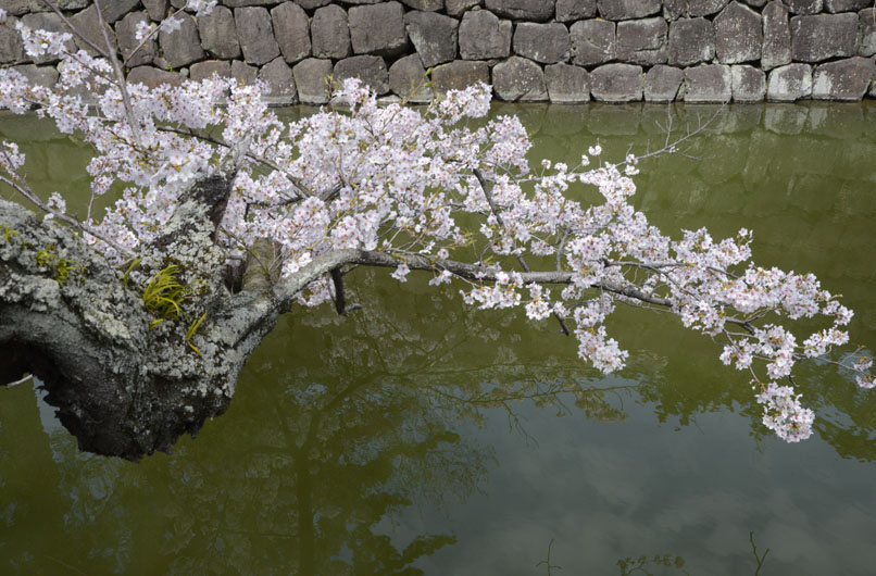 b0042837_215533.jpg