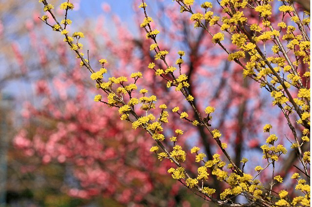 a0242438_20185610.jpg