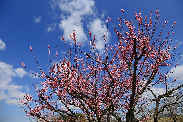 a0242438_2019463.jpg