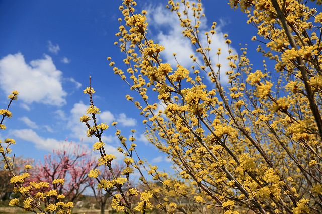 a0242438_2020125.jpg