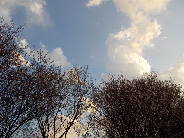 e0121548_20321016.jpg