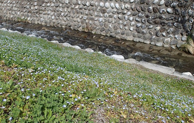 e0272349_8435689.jpg