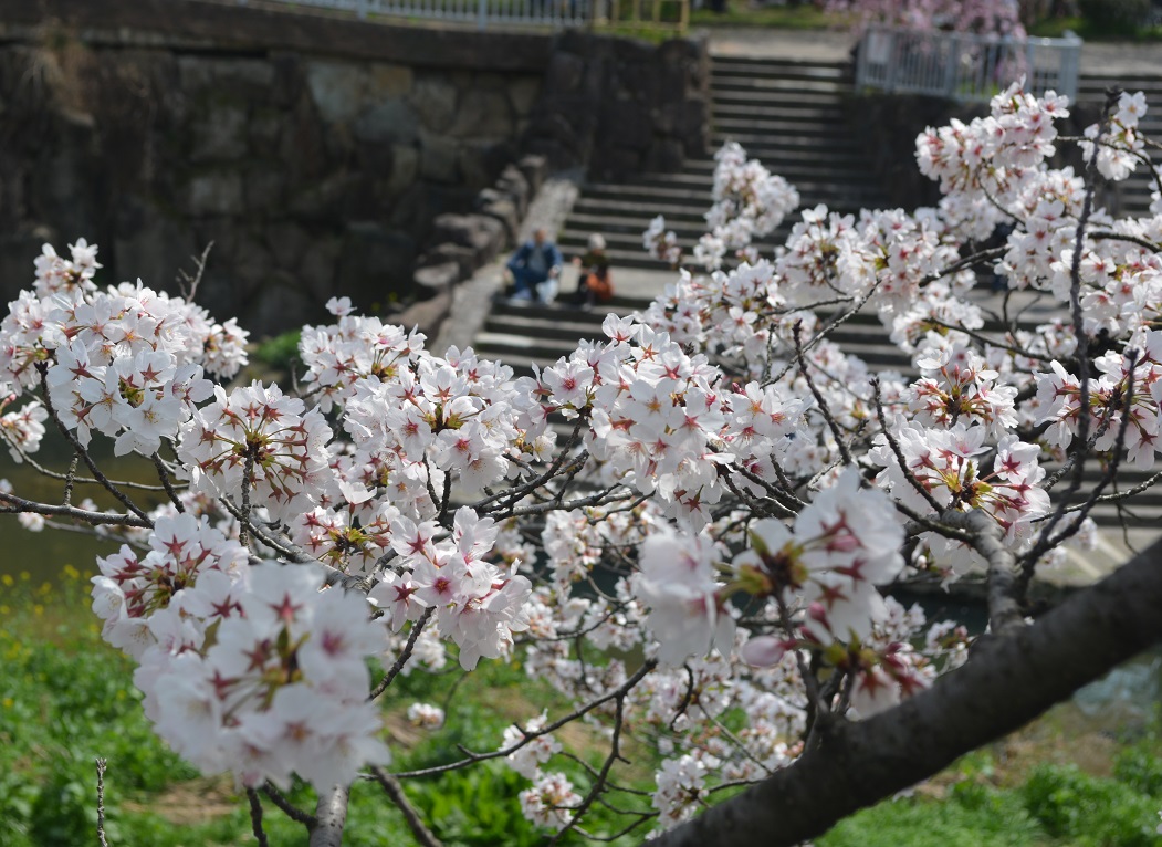 a0055650_1324689.jpg