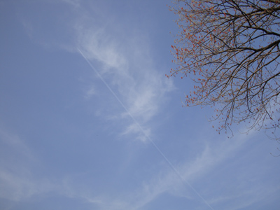 e0217950_5244790.jpg