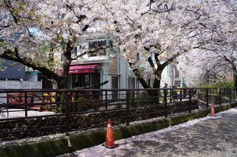 c0206352_18441668.jpg