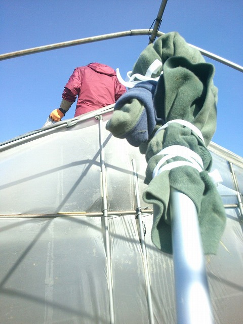 c0145453_2334344.jpg