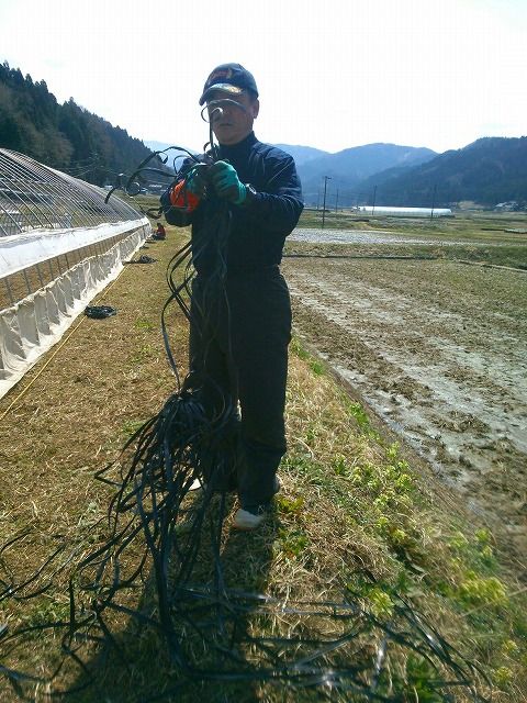 c0145453_2334430.jpg