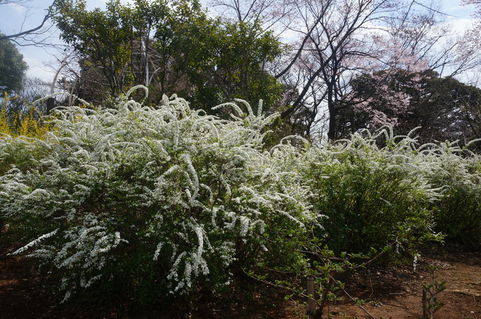 f0257756_1582154.jpg