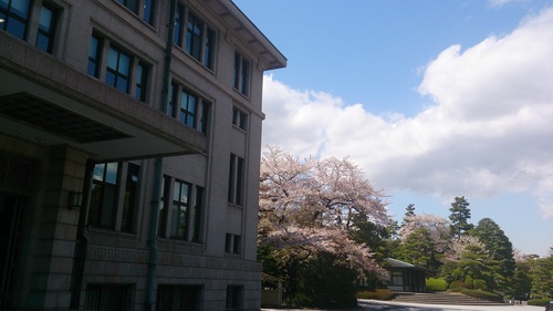 b0178557_23164258.jpg