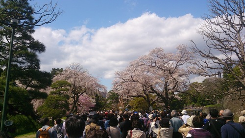 b0178557_23235337.jpg