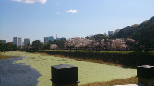b0178557_23261250.jpg