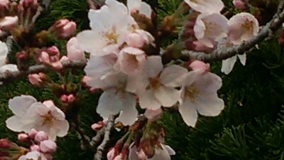 b0253057_6565680.jpg