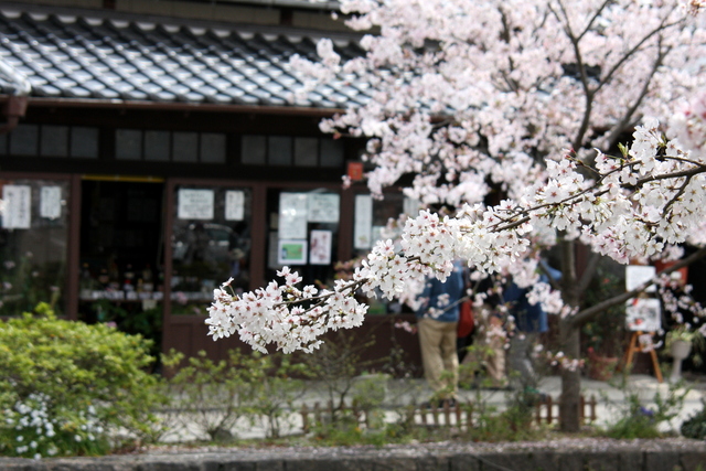 d0244960_10484919.jpg