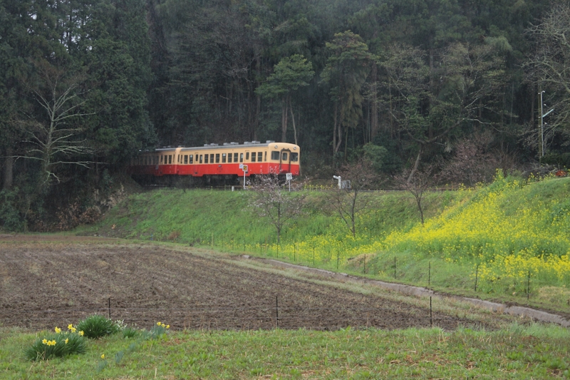 b0138661_8241164.jpg