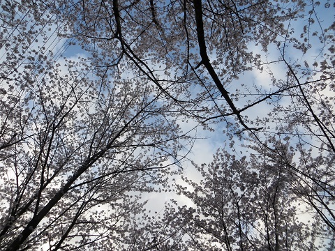 d0120665_1334242.jpg