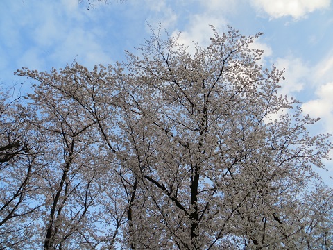 d0120665_13345450.jpg