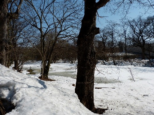 d0084473_207347.jpg