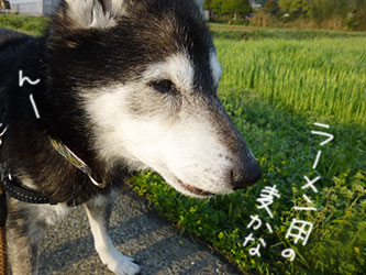b0057675_10553234.jpg
