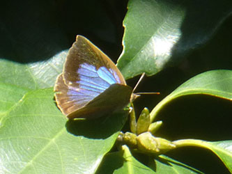 b0057675_1172458.jpg