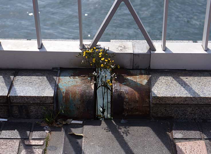 b0057679_8491338.jpg