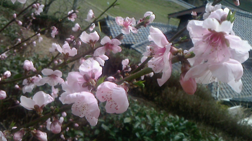 f0215179_8171159.jpg