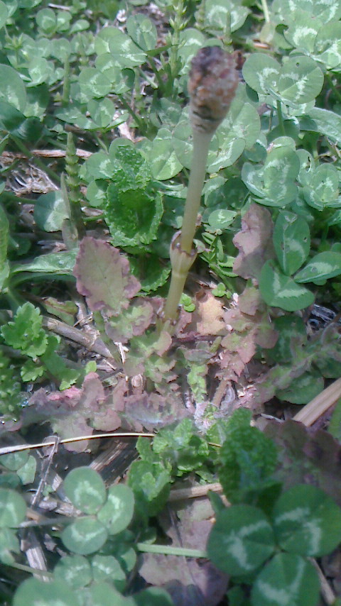 f0215179_8174778.jpg