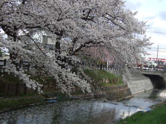 a0105480_17272054.jpg