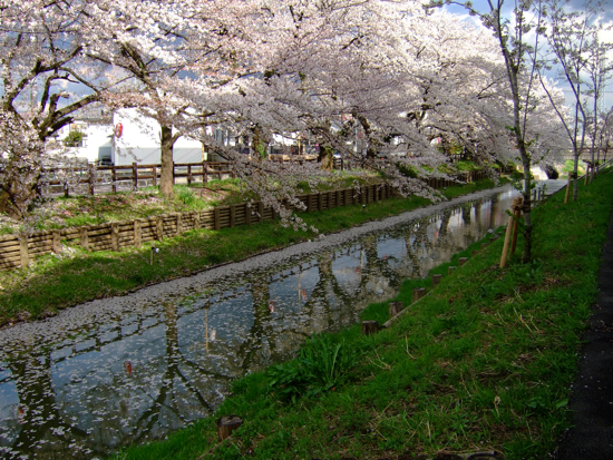 a0105480_1727214.jpg