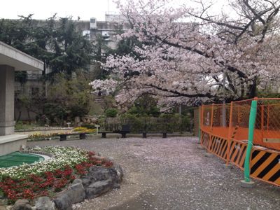 f0275885_1312952.jpg