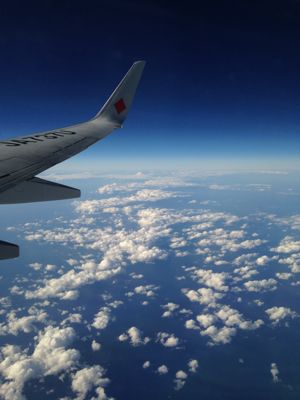 b0162388_1082437.jpg