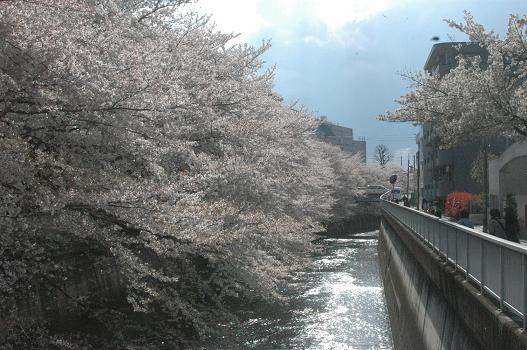 c0123890_19533824.jpg