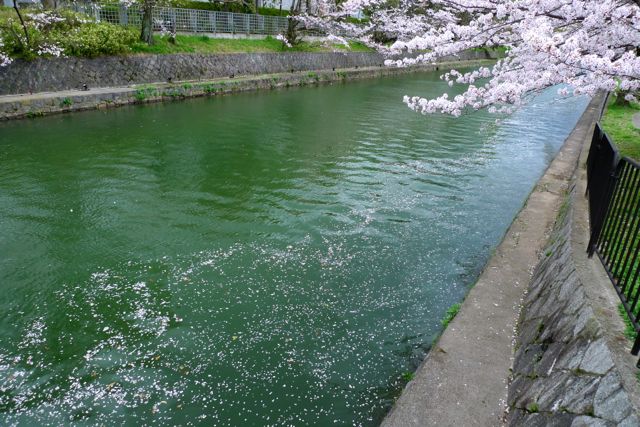 a0079292_1456365.jpg
