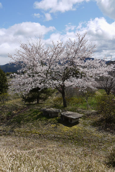 f0222692_14245397.jpg