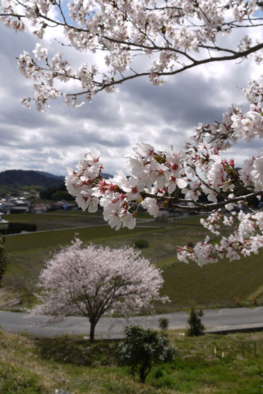 f0222692_14261416.jpg