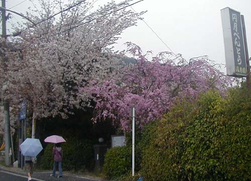 d0053294_0411930.jpg