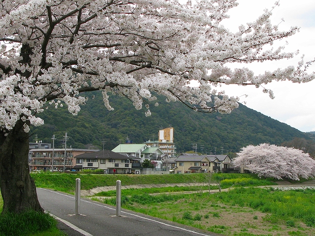 f0181394_18541976.jpg