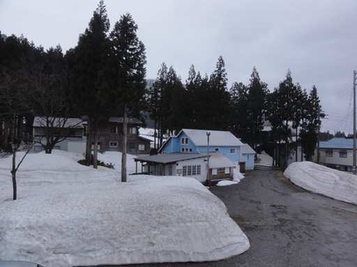 a0061599_7322550.jpg