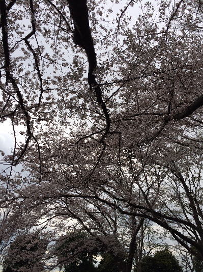 b0160300_23145813.jpg