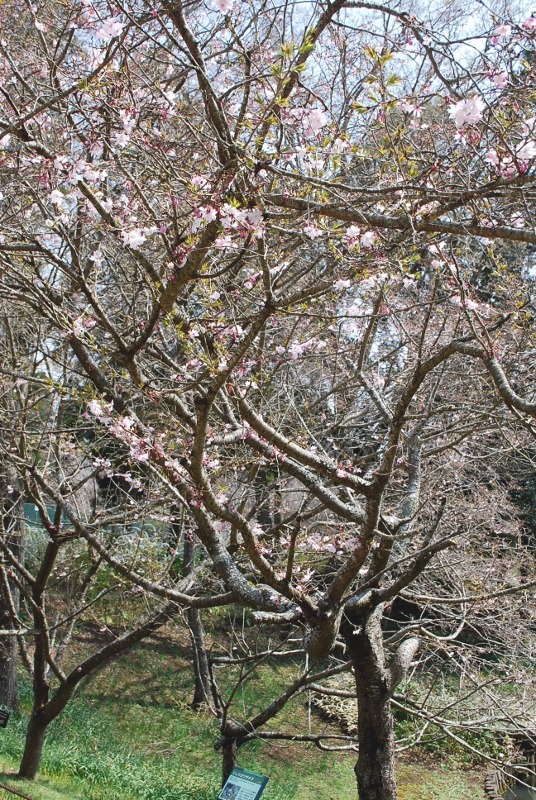 e0025300_159644.jpg