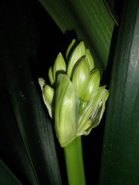b0229904_20113516.jpg