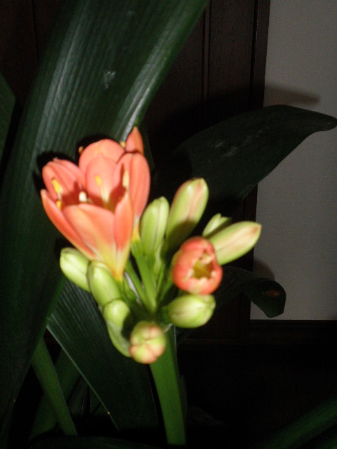 b0229904_20132195.jpg