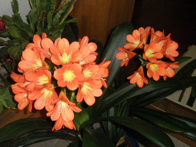 b0229904_2021373.jpg