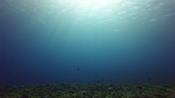 a0060407_19342234.jpg
